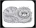 maltese25  - Decorated Mouse Pad with kitten cat himalayan feline
