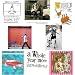 Greeting Cards collection. Smile 2 - 8 contemporary and humour cards.  Premium quality cards.