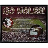 Florida State Seminoles (FSU) Framed Photograph