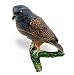 Objet D'Art Release #243 "Ridgeway's Hawk" Critically Endangered Species Bird Handmade Jeweled Enameled Metal Trinket Box