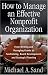 How To Manage An Effective Nonprofit Organization: From Writing An Managing Grants To Fundraising, Board Development, And Strategic Planning