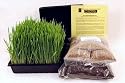 Dog & Cat Wheatgrass Growing Kit for Pet - Dogs Cats & Pets Love To Eat Wheat Grass for Better Health