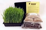 Dog & Cat Wheatgrass Growing Kit for Pets - Dogs & Cats Instinctively Eat Grass for Better Health. Provide Your Pet Maximum Nutrition Year-round with Wheat Grass. Kit Includes Seed, Trays, Soil, Trace Mineral Fertilizer & Instructions.