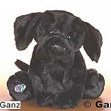  : Webkinz Black Lab Dog