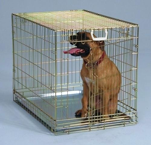 General Cage Extra Large Gold Wire Folding Dog Crate