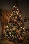 Altered Christmas Tree