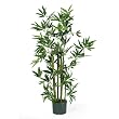 4' Bamboo Silk Plant