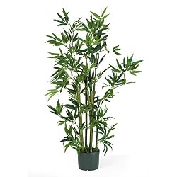 4' Bamboo Silk Plant