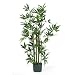 4' Bamboo Silk Plant