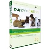 Puppies And Kittens [DVD]by Timm Hogerzeil