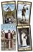 3D Grand Trumps Tarot Deck 3D Grand Trumps Tarot Deck