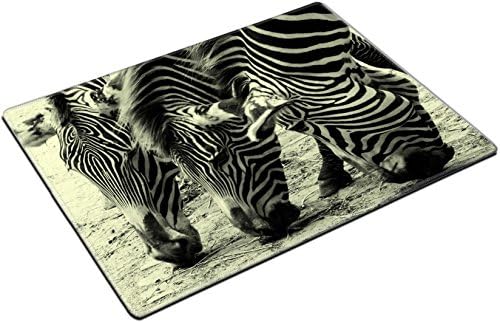 zebra animals black and white head striped QZone Placemat Pads Customized Made To Order Support Ready 15 6/8 Inch (400mm) X 11 13/16 Inch (300mm) X 1/8 Inch (3mm) High Quality Eco Friendly Cloth With Neoprene Rubber