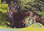 Dinosaurs on the Ark: the Creation Museum