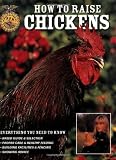 How To Raise Chickens: Everything You Need To Know