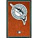 Florida Marlins (New Logo) Sports Poster Print - 24x36