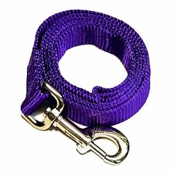 Premium Pet Leashes by Collar Galaxy
