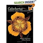 Click here to buy Calochortus: Mariposas and Their Relatives by  Mary E. Gerritsen and Ron Parsons.