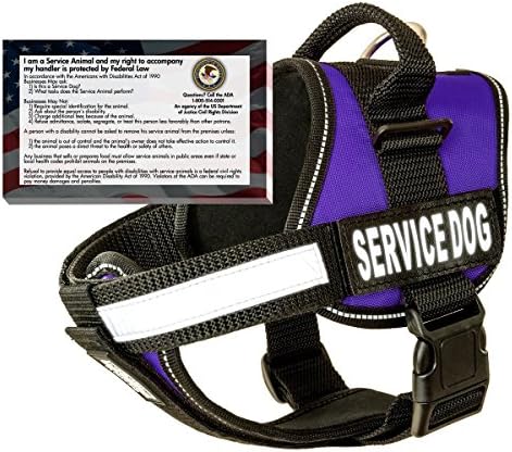 Real Service Dog Vest Harness + 50 ADA Info Cards Kit (Purple, (30" - 39") Girth