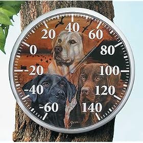 Wild Wings Nature Thermometer Loyal Companion Lab