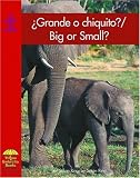 Grande o chiquito? / Big or Small? (Math) (Spanish Edition)