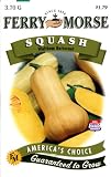 Ferry-Morse 1384 Squash Seeds, Butternut (3.7 Gram Packet)