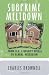 Subprime Meltdown: From U.S. Liquidity Crisis To Global Recession