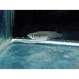 ���i�̏ڍ�