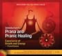 Prana and Pranic Healing Guided Meditations (Double CD)