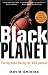 Book Black Planet: Facing Race During an NBA Season