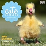 Cute Overload 2015 Wall Calendar