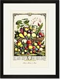 Black Framed/Matted Print 17x23, Large Array of Fruits
