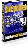 Search Engine Manifesto: Your Guide to Search Engine Leverage