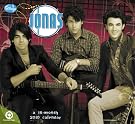 Jonas Brothers 2010...
