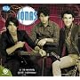 Jonas Brothers 2010 Wall Calendar