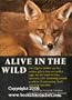 Alive in the Wild