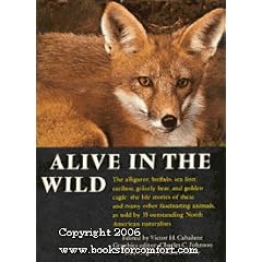 Alive in the Wild