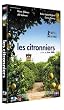 Les Citronniers