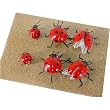 Ladybug Magnets, Set of 6 Lifelike Magnets