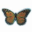 Small Orange Butterfly Door Screen Saver