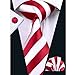 Hi-Tie Mens Striped Tie Set Silk Classic