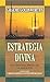 Estrategia divina: Una teología bíblica de la salvación (Colección Cristianismo Contemporáneo) (Spanish Edition)