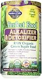 Garden of Life Perfect Food&reg; RAW - Alkalizer & Detoxifier Organic Powder, 285g Powder
