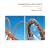 Engineering Mechanics: Statics and Dynamics