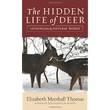 The Hidden Life of Deer: Lessons from the Natural World