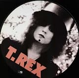 Slider [12 inch Analog]