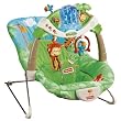 Fisher-Price Rainforest Bouncer