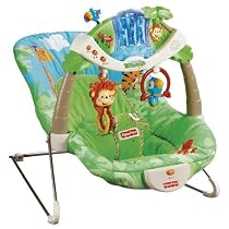Fisher-Price Rainforest Bouncer