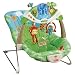 Fisher-Price Rainforest Bouncer