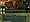 Fallout Collection (PC DVD)