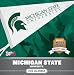 Michigan State Spartans 2013 Daily Box Calendar 5.375" X 5.25"